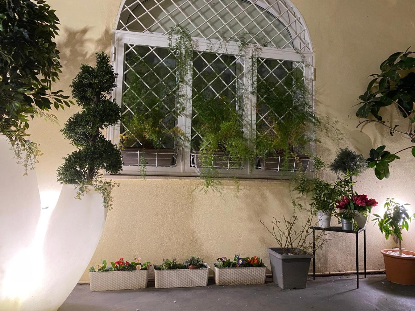Lata Rana Colosseum Luxury Loft 罗马 外观 照片
